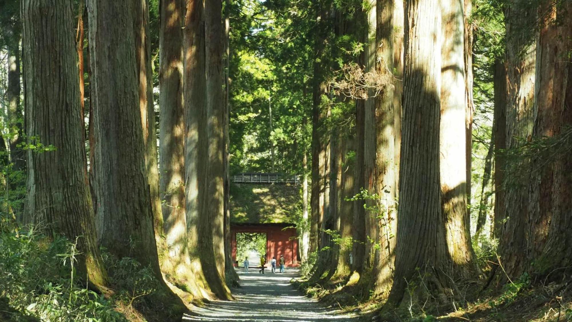 Toyoko Inn Nagano-Eki Higashi-Guchi エクステリア 写真